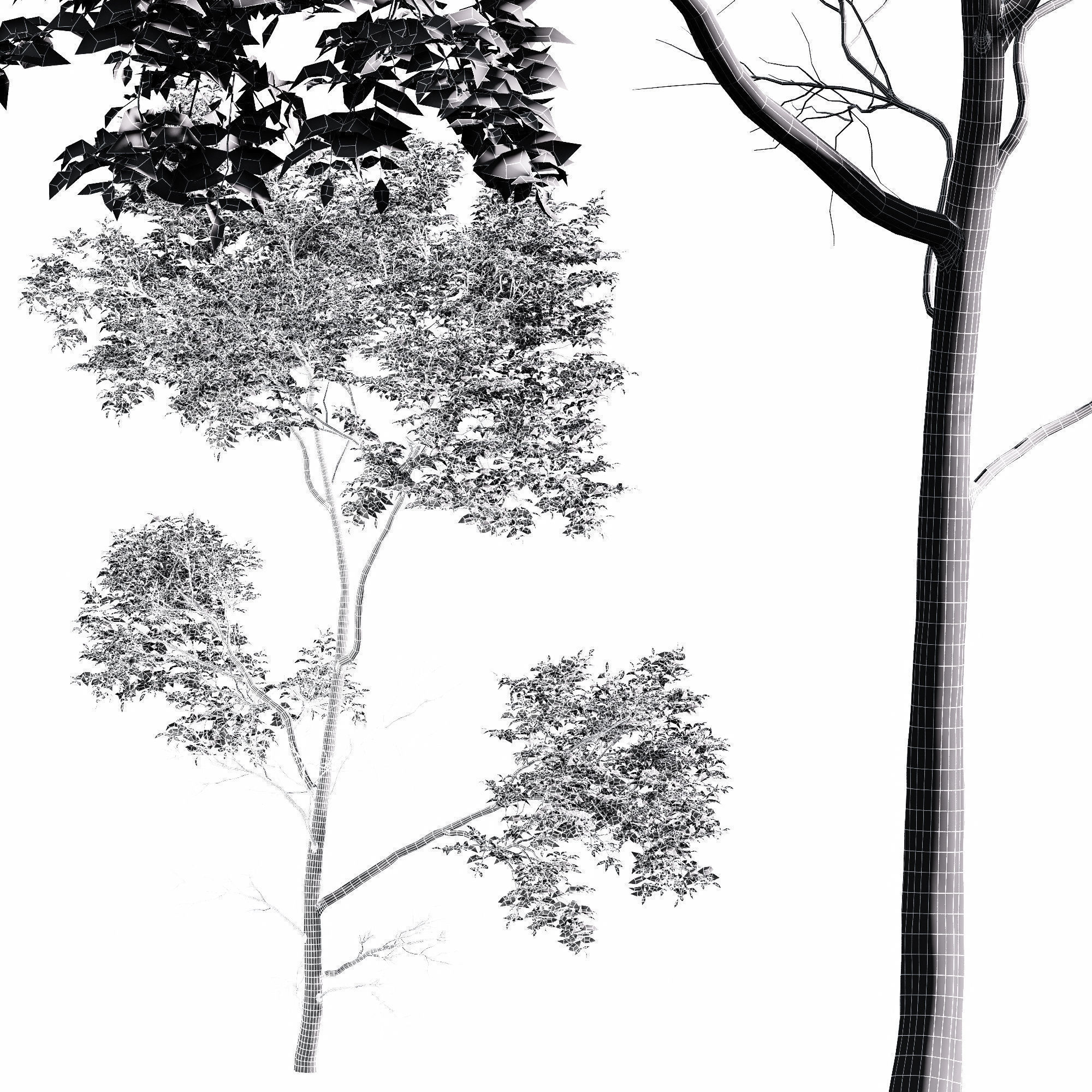 6 Different SETS of Tree SET VOL75 3D Model Collection_15