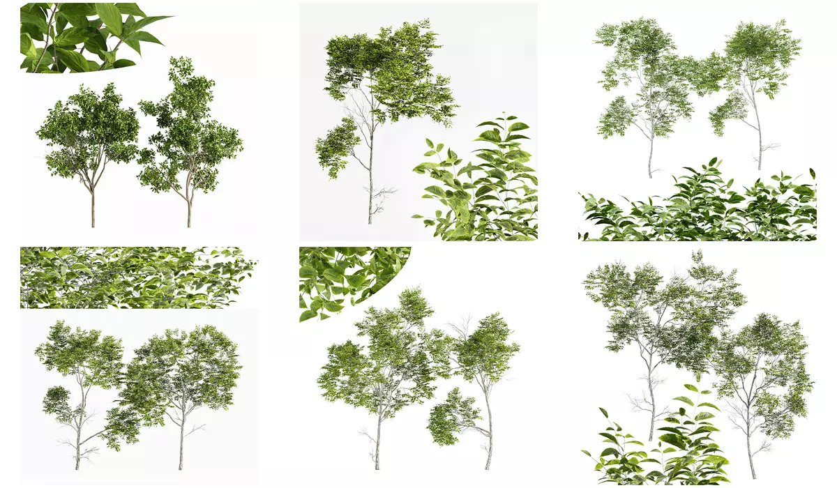 6 Different SETS of Tree SET VOL75 3D Model Collection_0