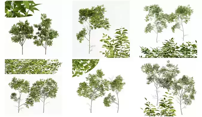 6 Different SETS of Tree SET VOL75 3D Model Collection 6 Different SETS of Tree SET VOL75 3D Model Collection
