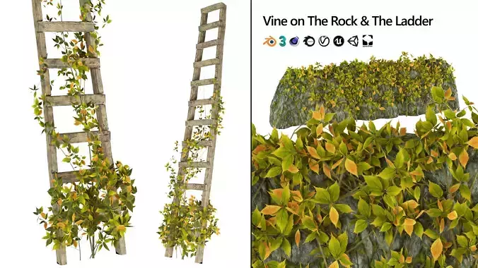 Vine Climber Plant on Ladder and Rock 3D Model Low-poly 3D model