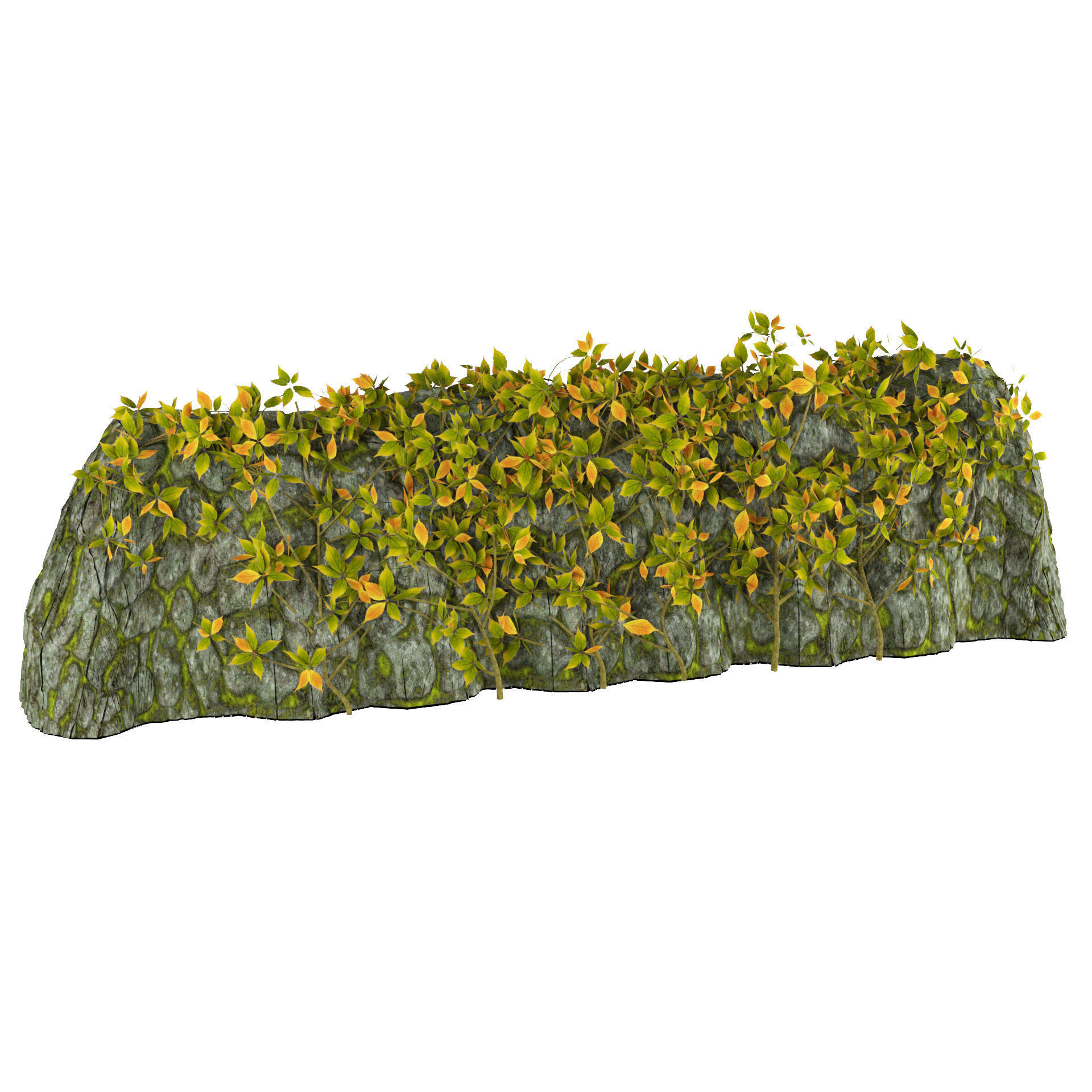 Vine Climber Plant on Ladder and Rock 3D Model Low-poly 3D model_5