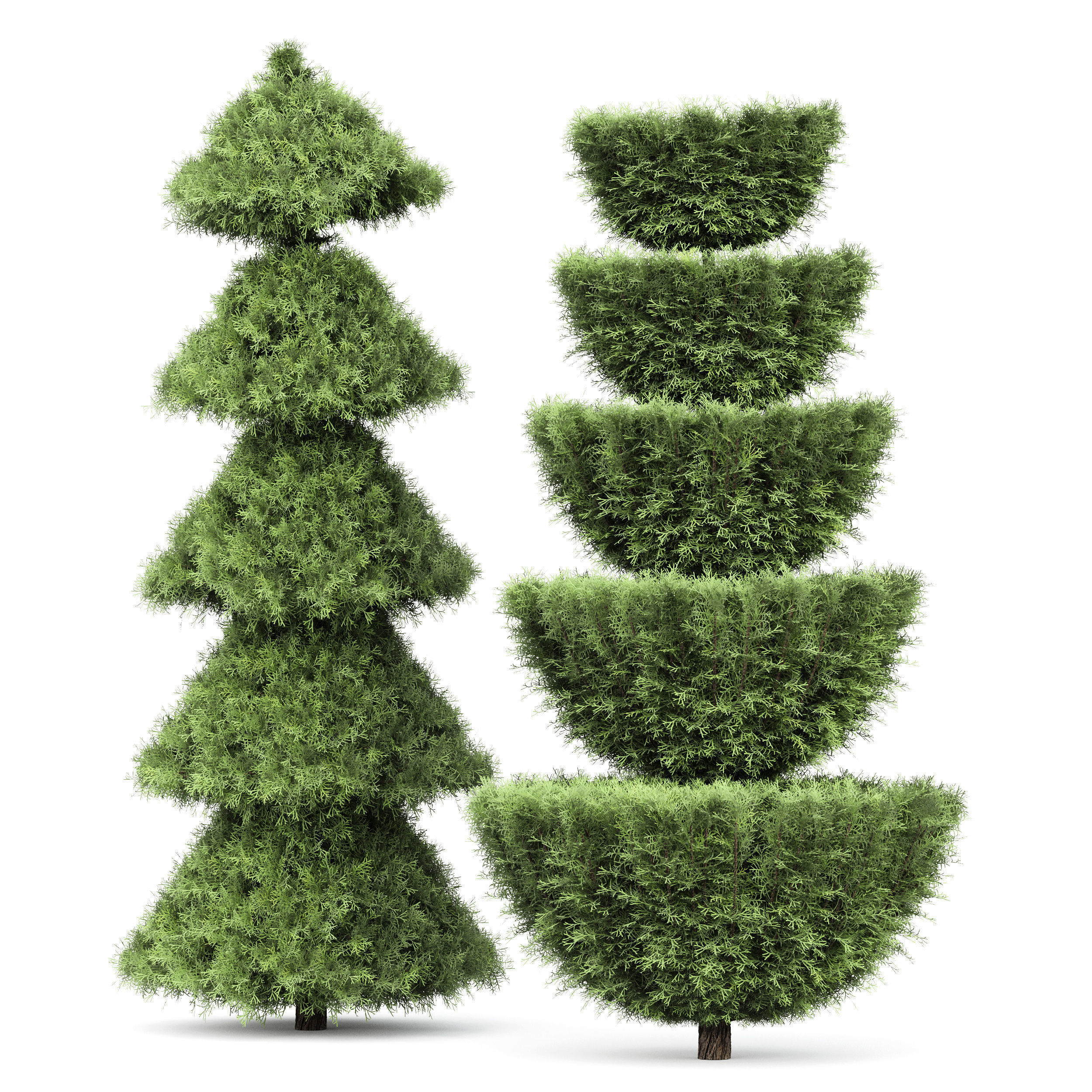 6 Different SETS of Tree  SET VOL77 3D Model Collection_8