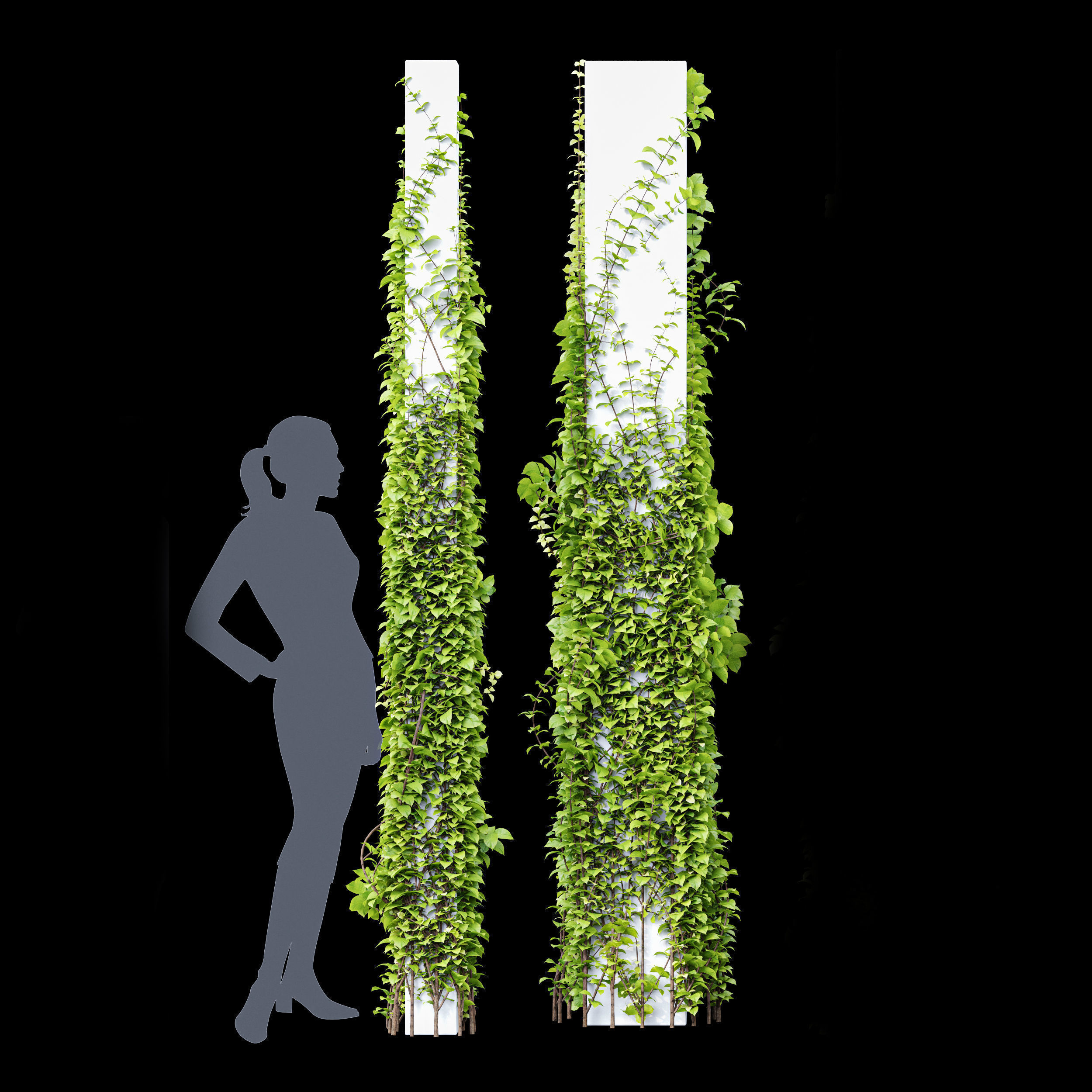 6 Different SETS of Tree  SET VOL77 3D Model Collection_11