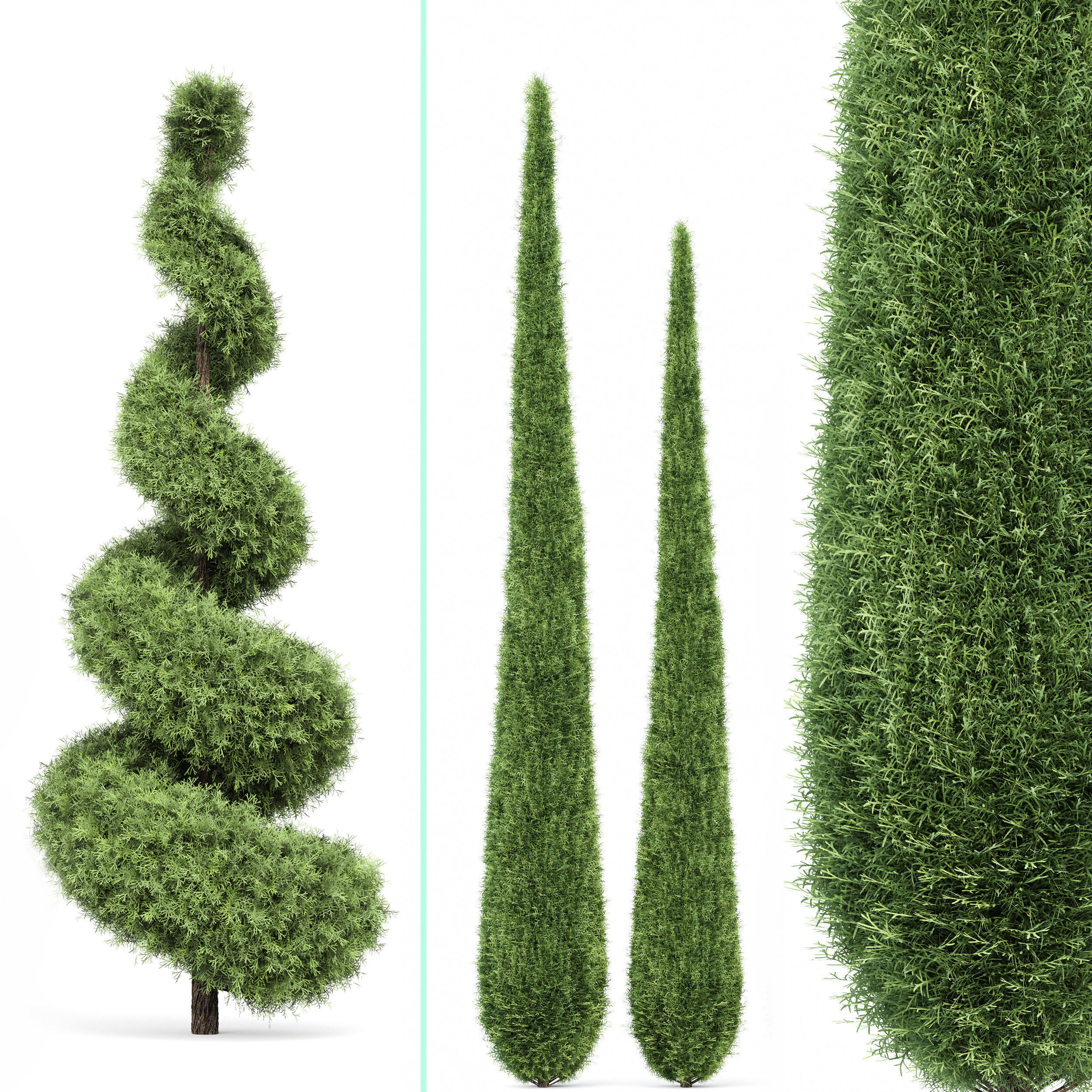 6 Different SETS of Tree  SET VOL77 3D Model Collection_9