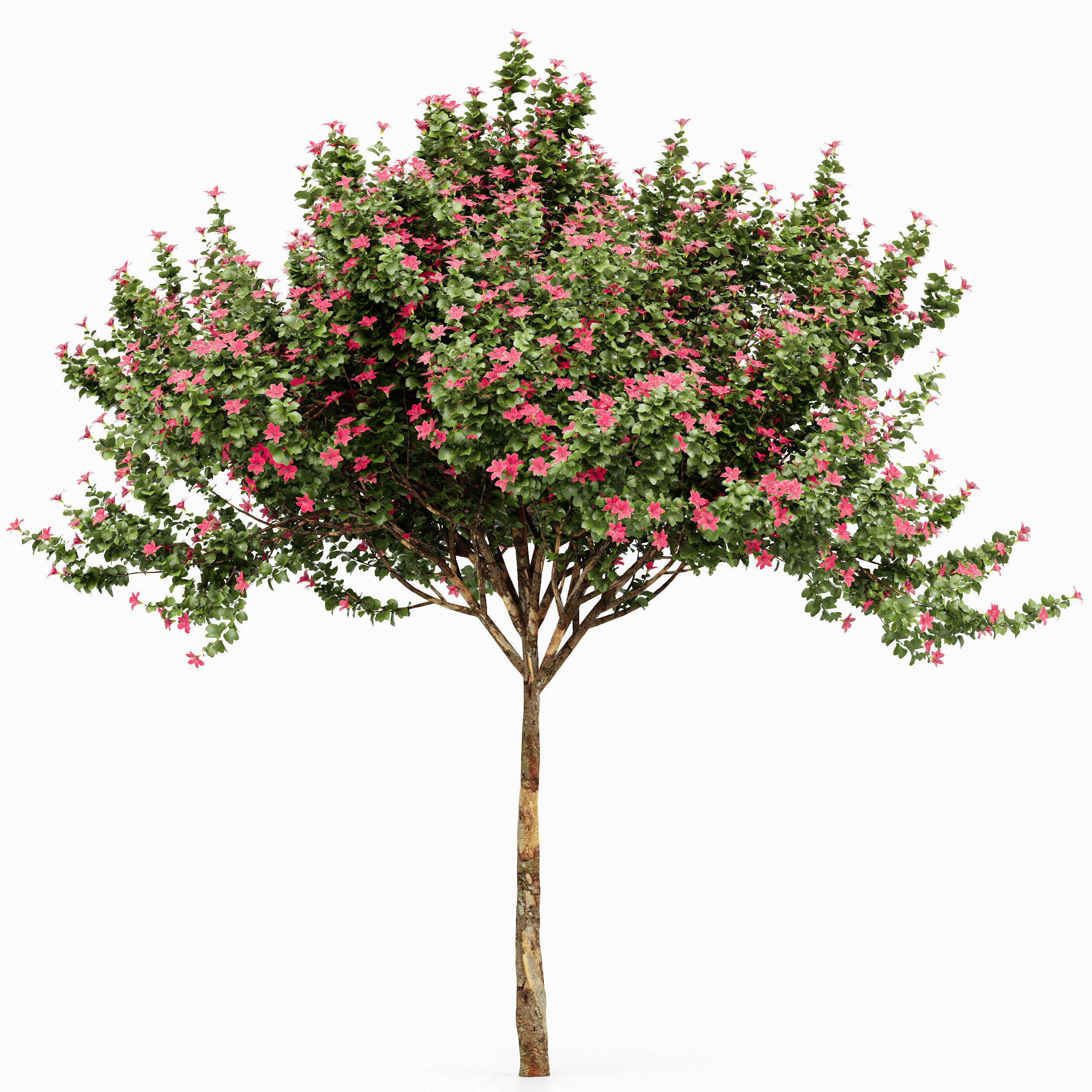 6 Different SETS of Tree  SET VOL77 3D Model Collection_12