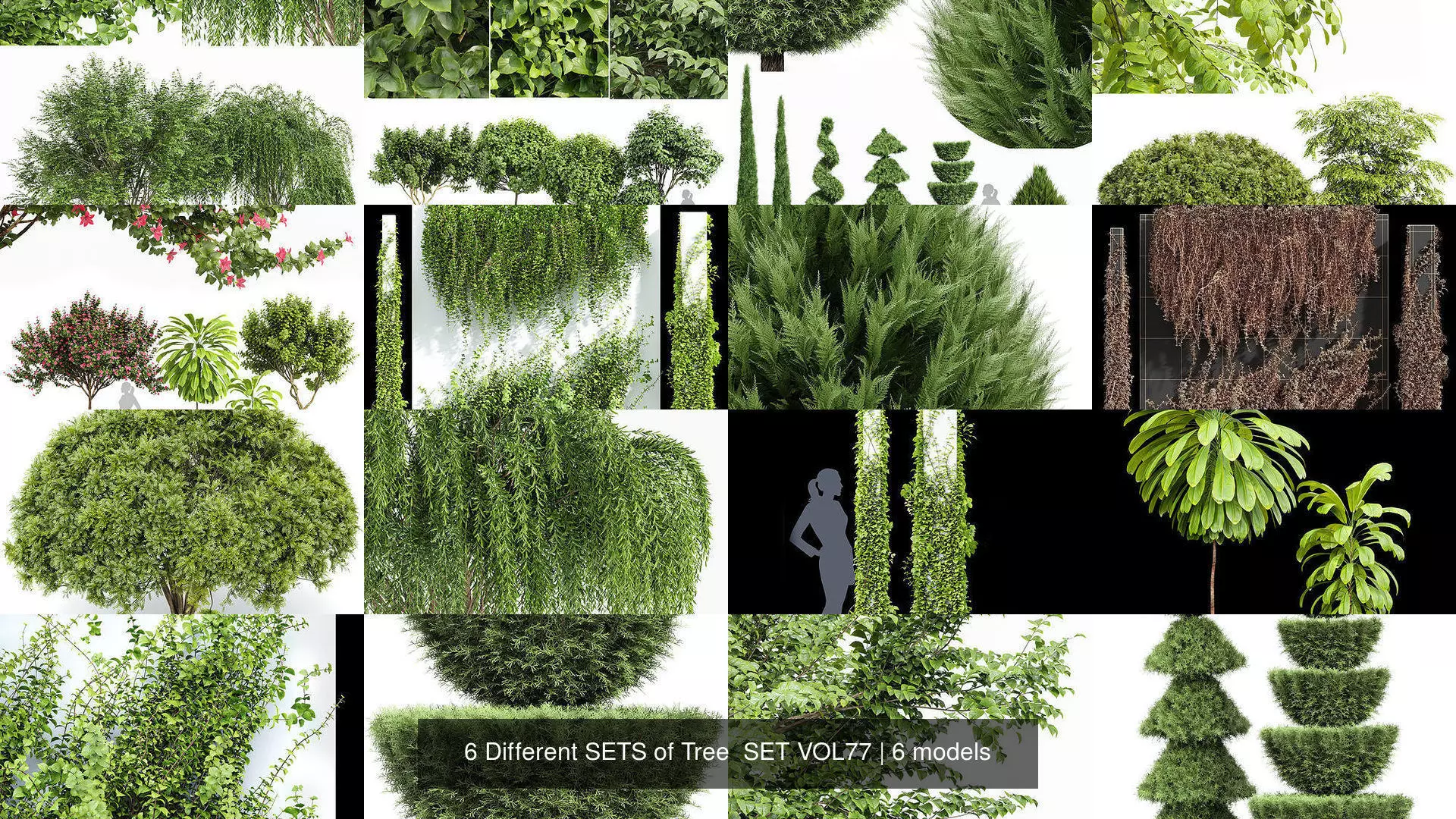 6 Different SETS of Tree  SET VOL77 3D Model Collection_1