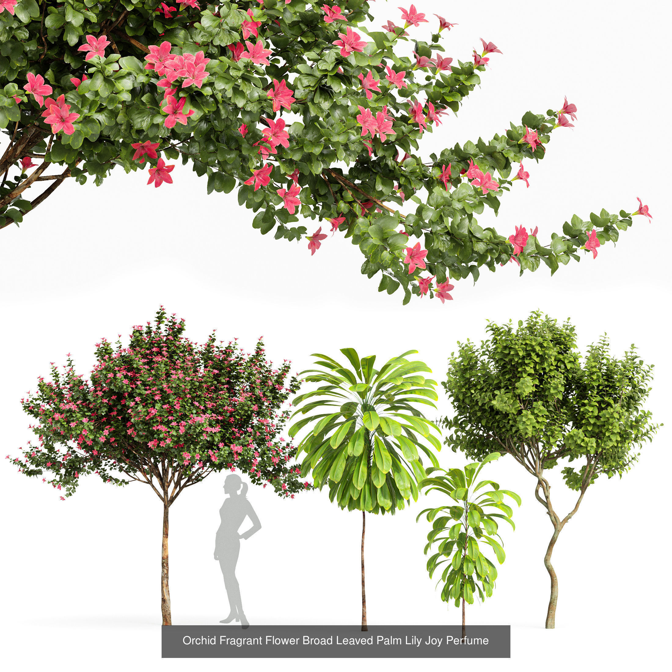 6 Different SETS of Tree  SET VOL77 3D Model Collection_2