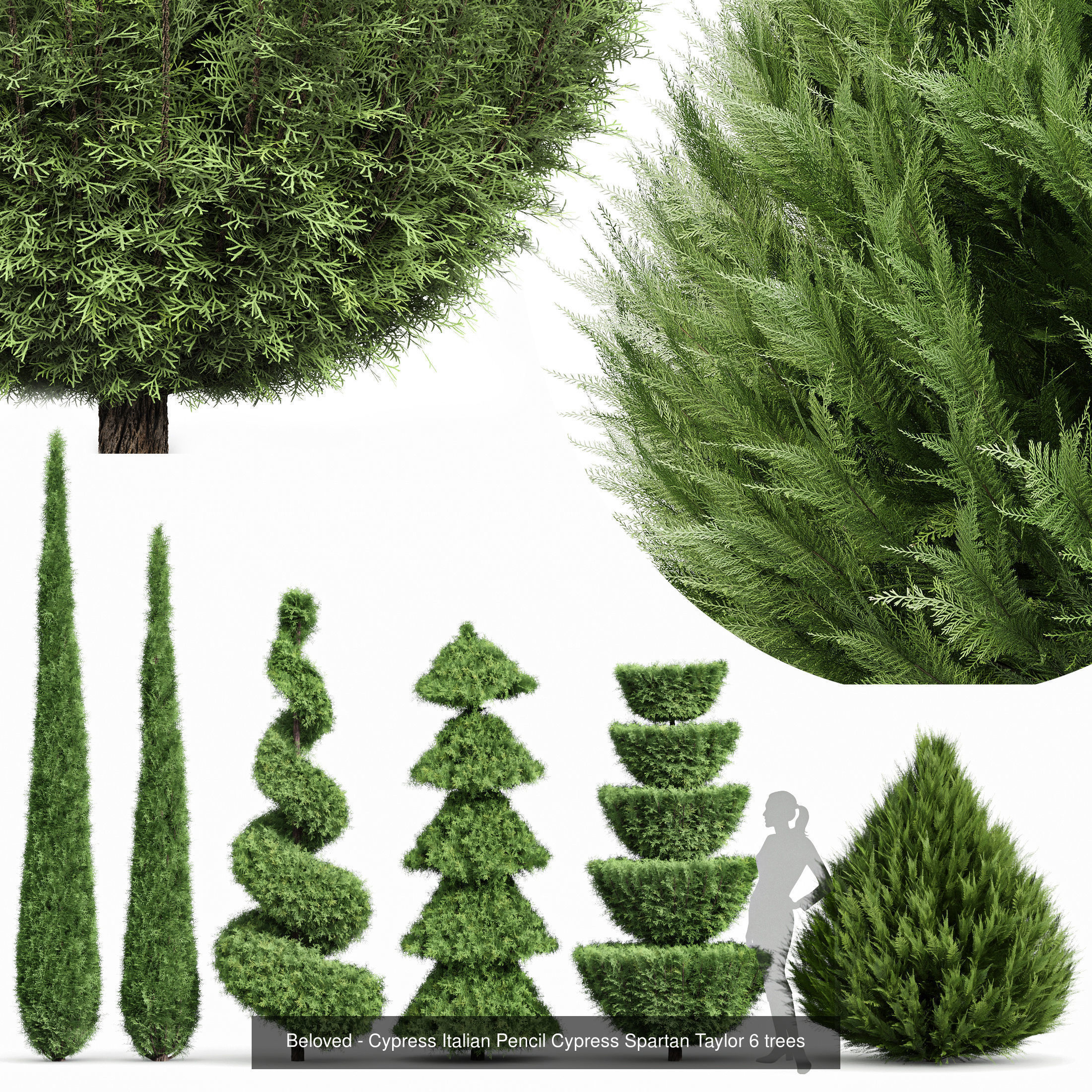 6 Different SETS of Tree  SET VOL77 3D Model Collection_4
