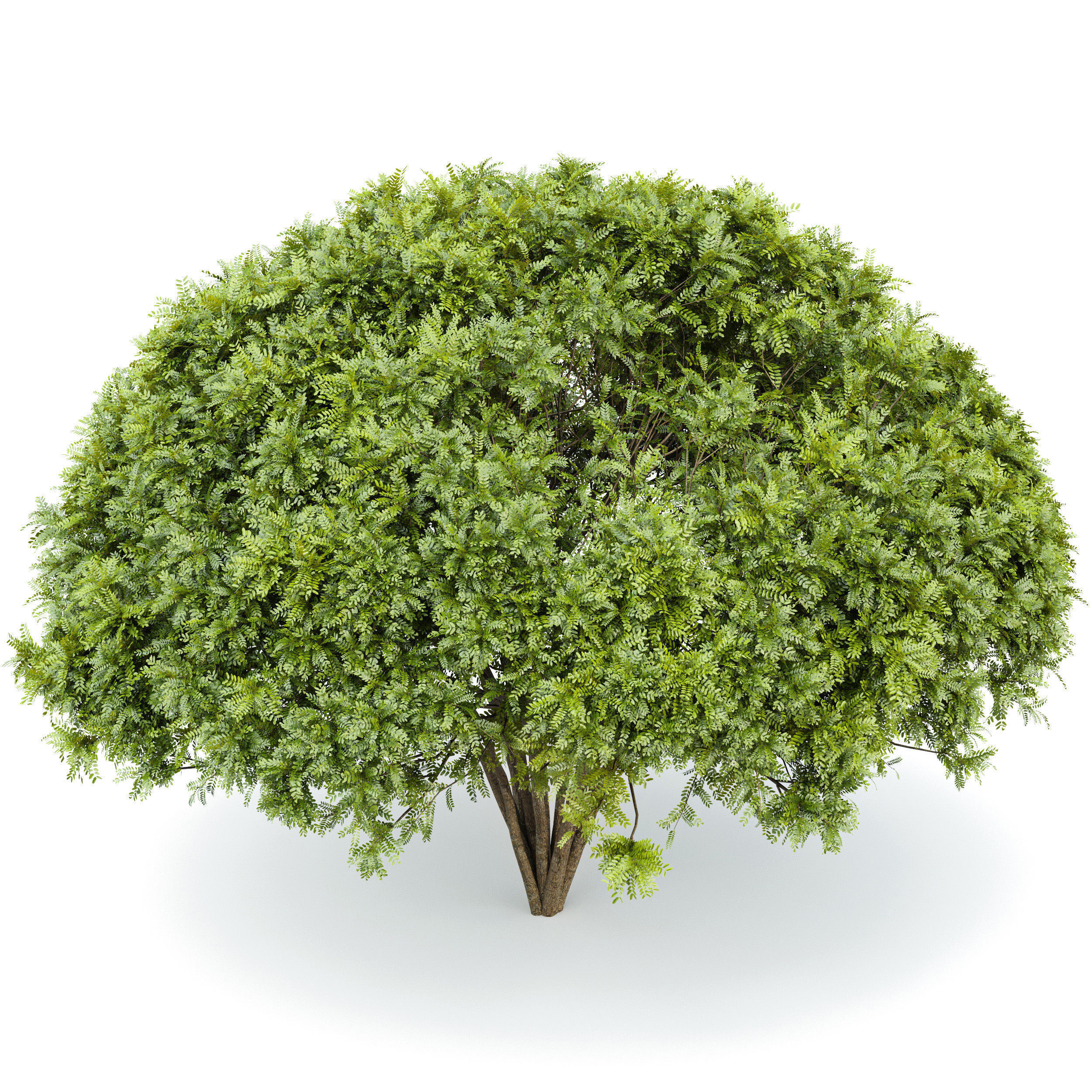 6 Different SETS of Tree  SET VOL77 3D Model Collection_15