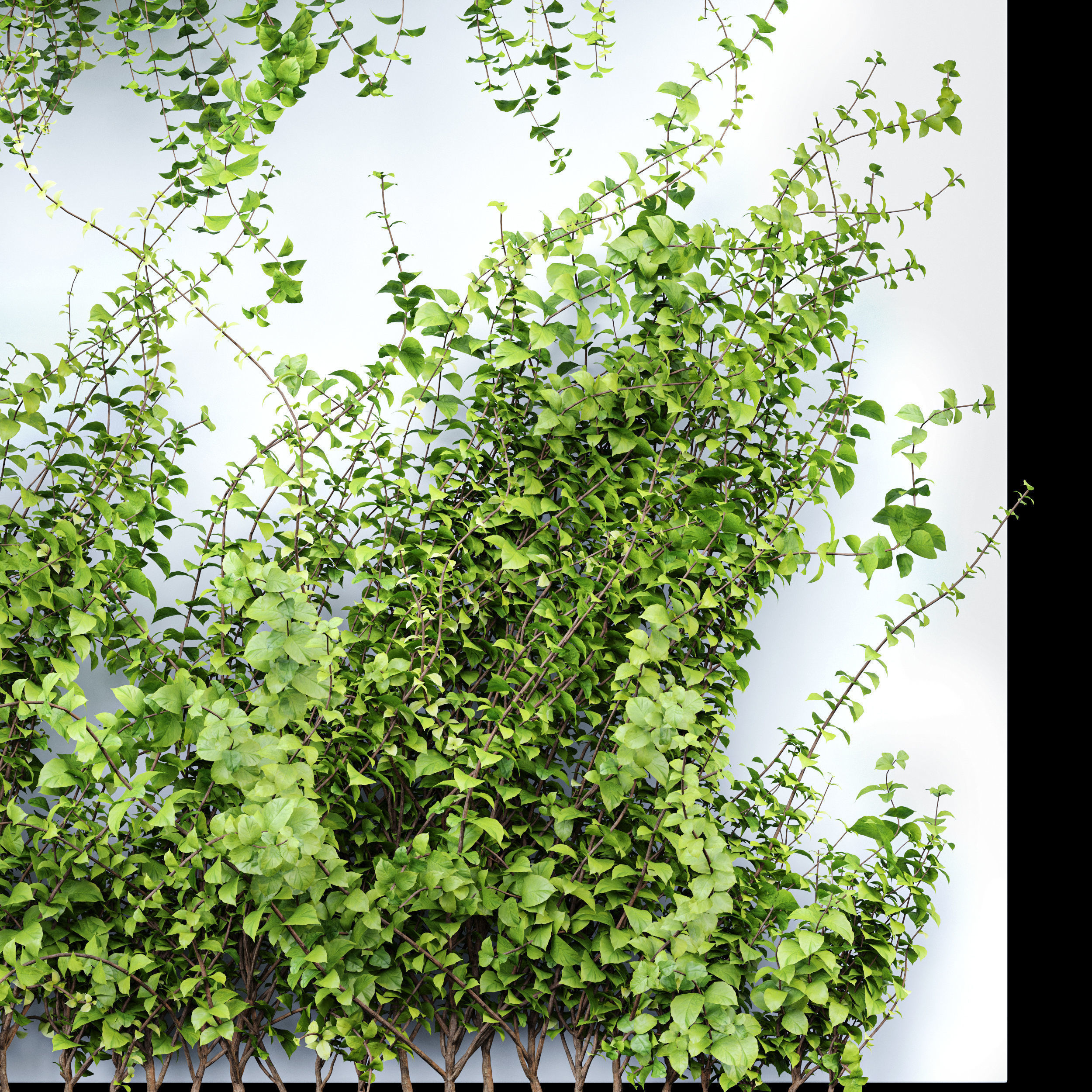 6 Different SETS of Tree  SET VOL77 3D Model Collection_21