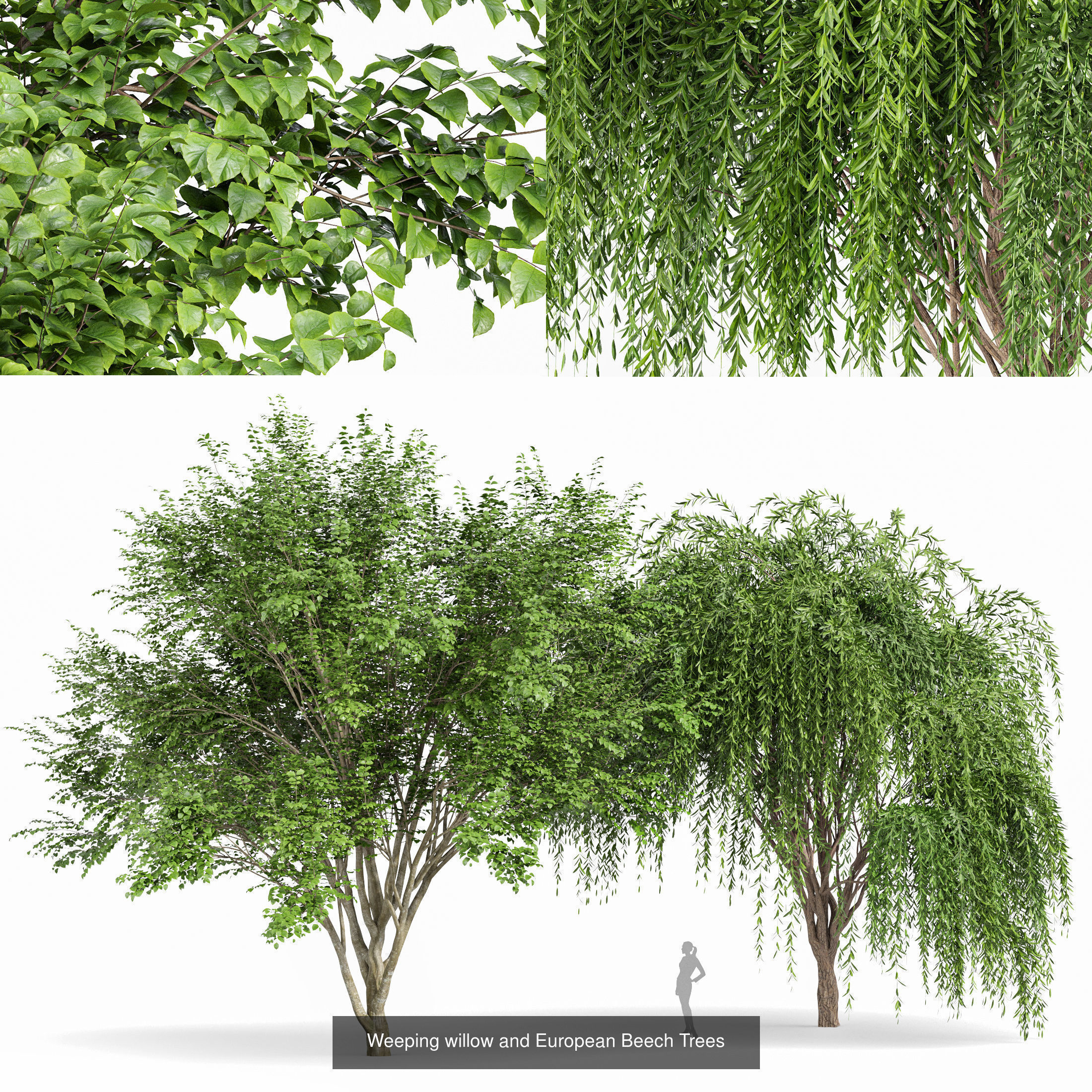 6 Different SETS of Tree  SET VOL77 3D Model Collection_6