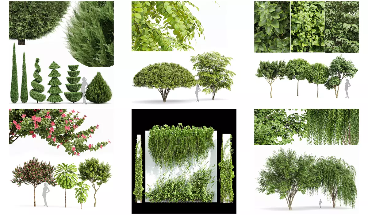 6 Different SETS of Tree  SET VOL77 3D Model Collection_0