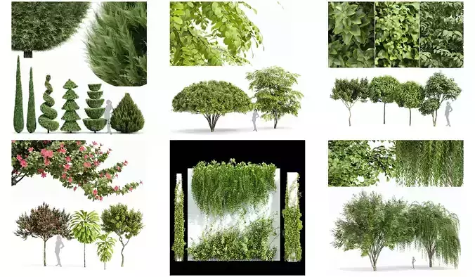 6 Different SETS of Tree  SET VOL77 3D Model Collection