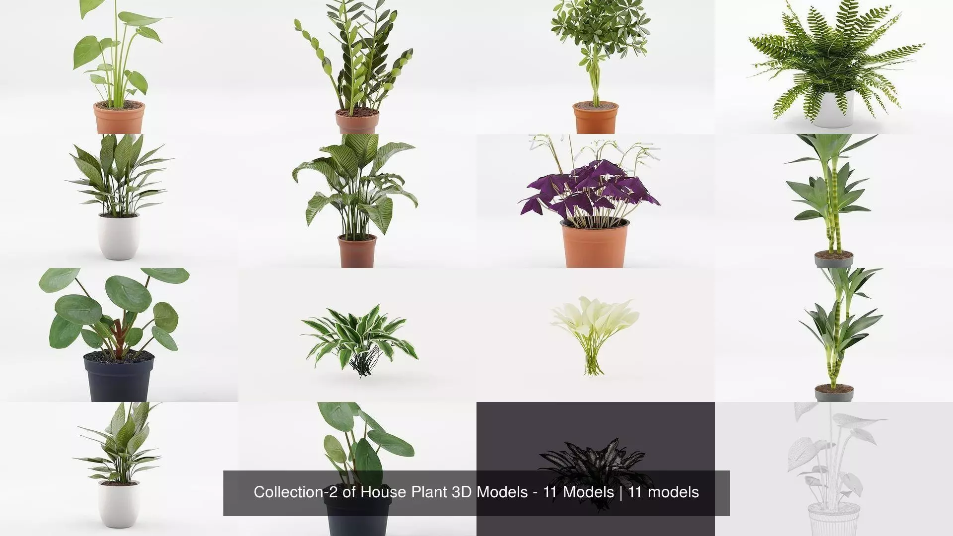 Collection-2 of House Plant 3D Models - 11 Models _0