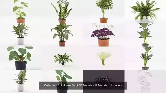 Collection-2 of House Plant 3D Models - 11 Models 