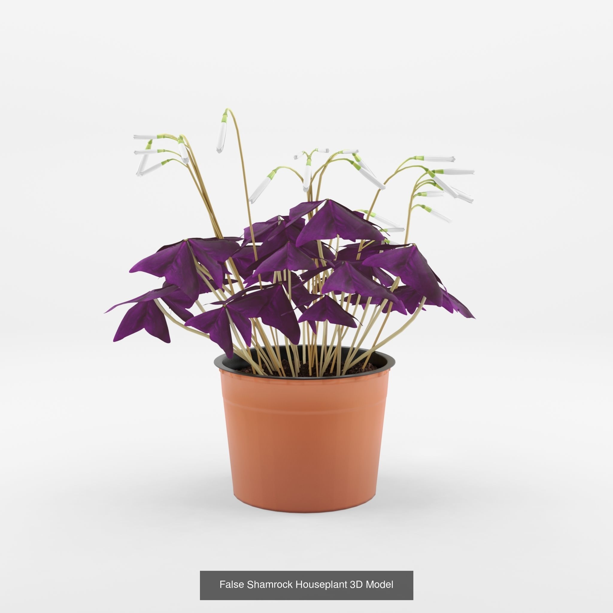 Collection-2 of House Plant 3D Models - 11 Models _7