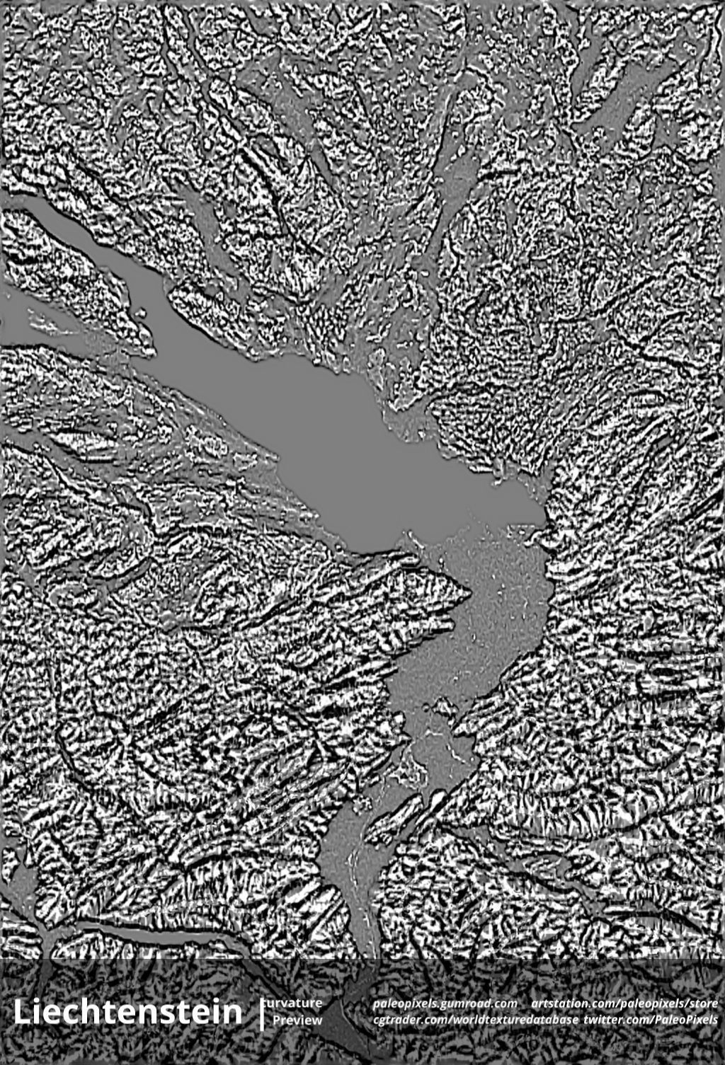Liechtenstein Occlusion Thickness Cavity Curv High res masks Texture_6