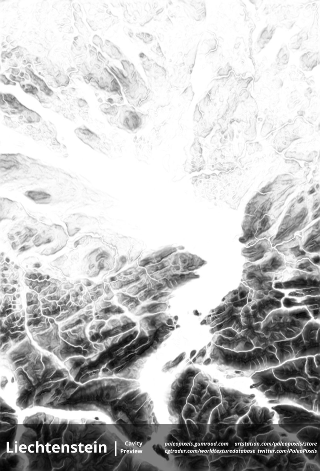 Liechtenstein Occlusion Thickness Cavity Curv High res masks Texture_3