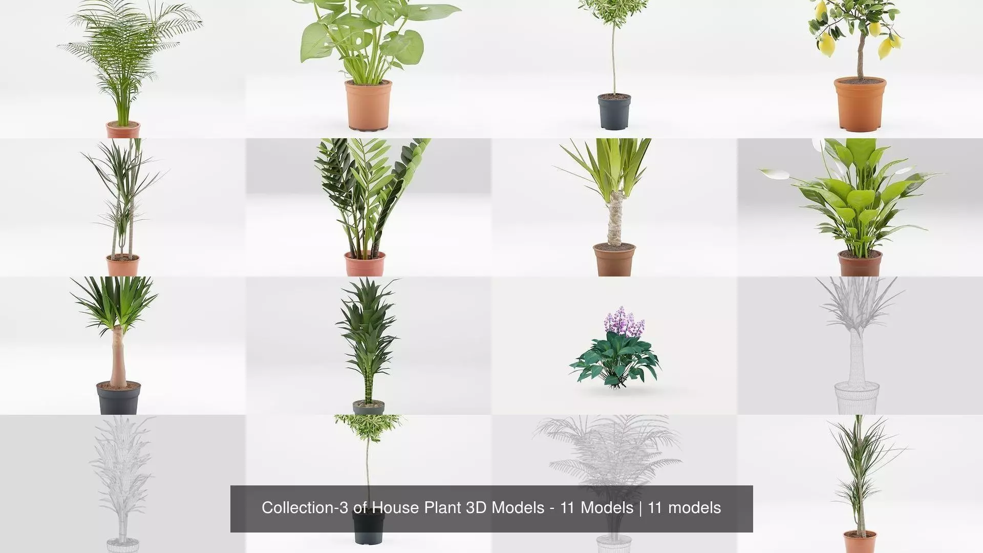 Collection-3 of House Plant 3D Models - 11 Models _0