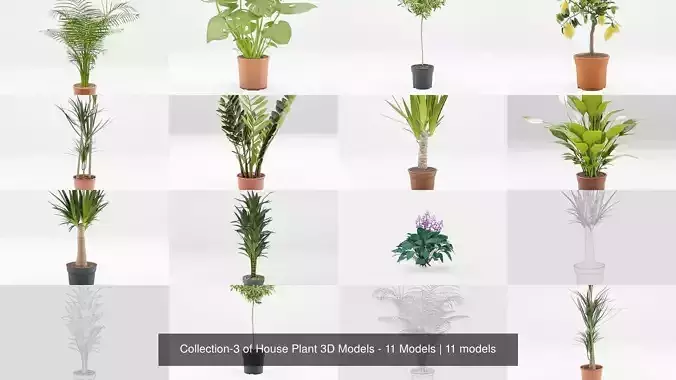Collection-3 of House Plant 3D Models - 11 Models 
