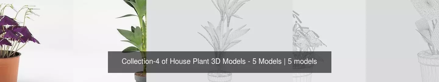 Collection-4 of House Plant 3D Models - 5 Models _0