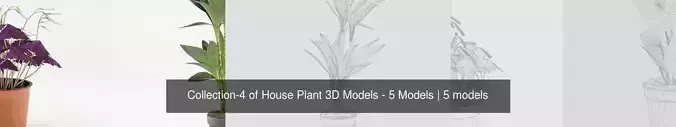 Collection-4 of House Plant 3D Models - 5 Models 