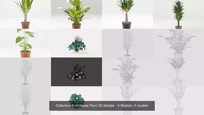 Collection-6 of House Plant 3D Models - 6 Models 