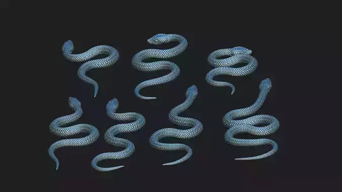several snakes 3D print model