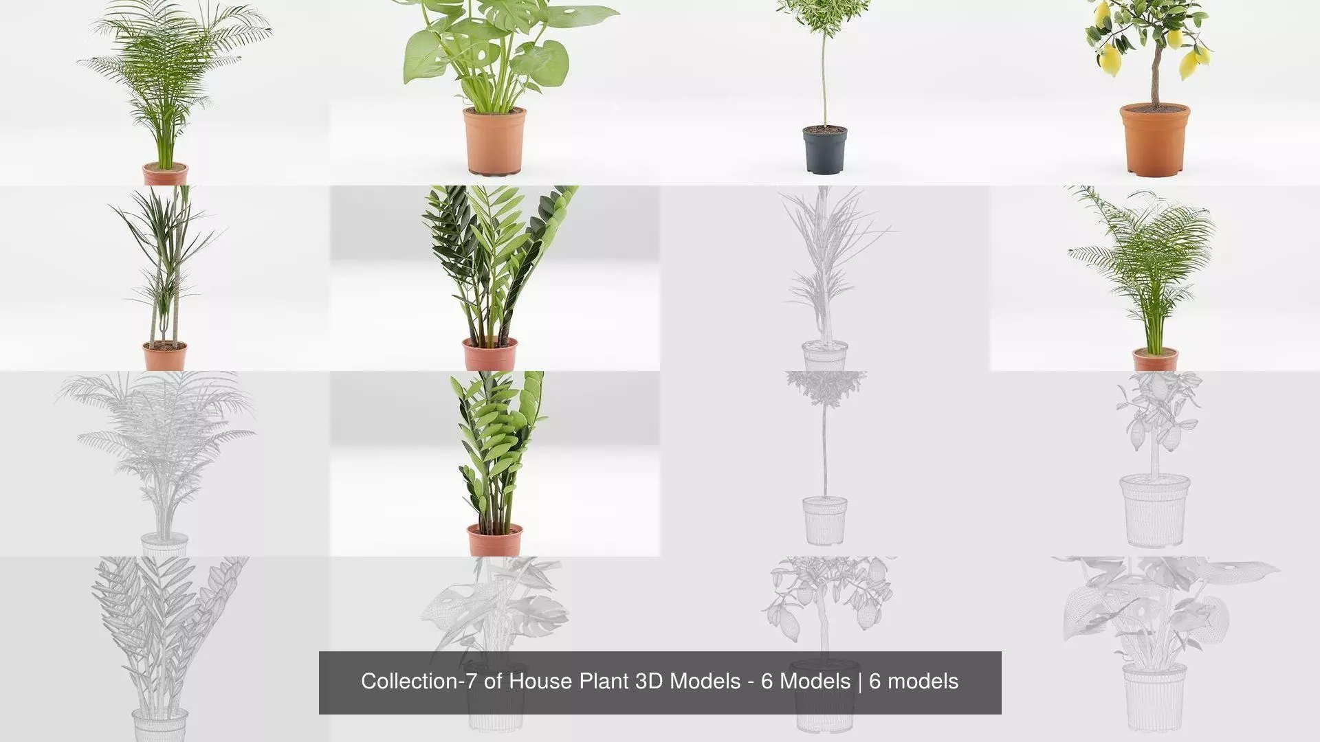 Collection-7 of House Plant 3D Models - 6 Models _0
