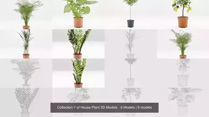Collection-7 of House Plant 3D Models - 6 Models 