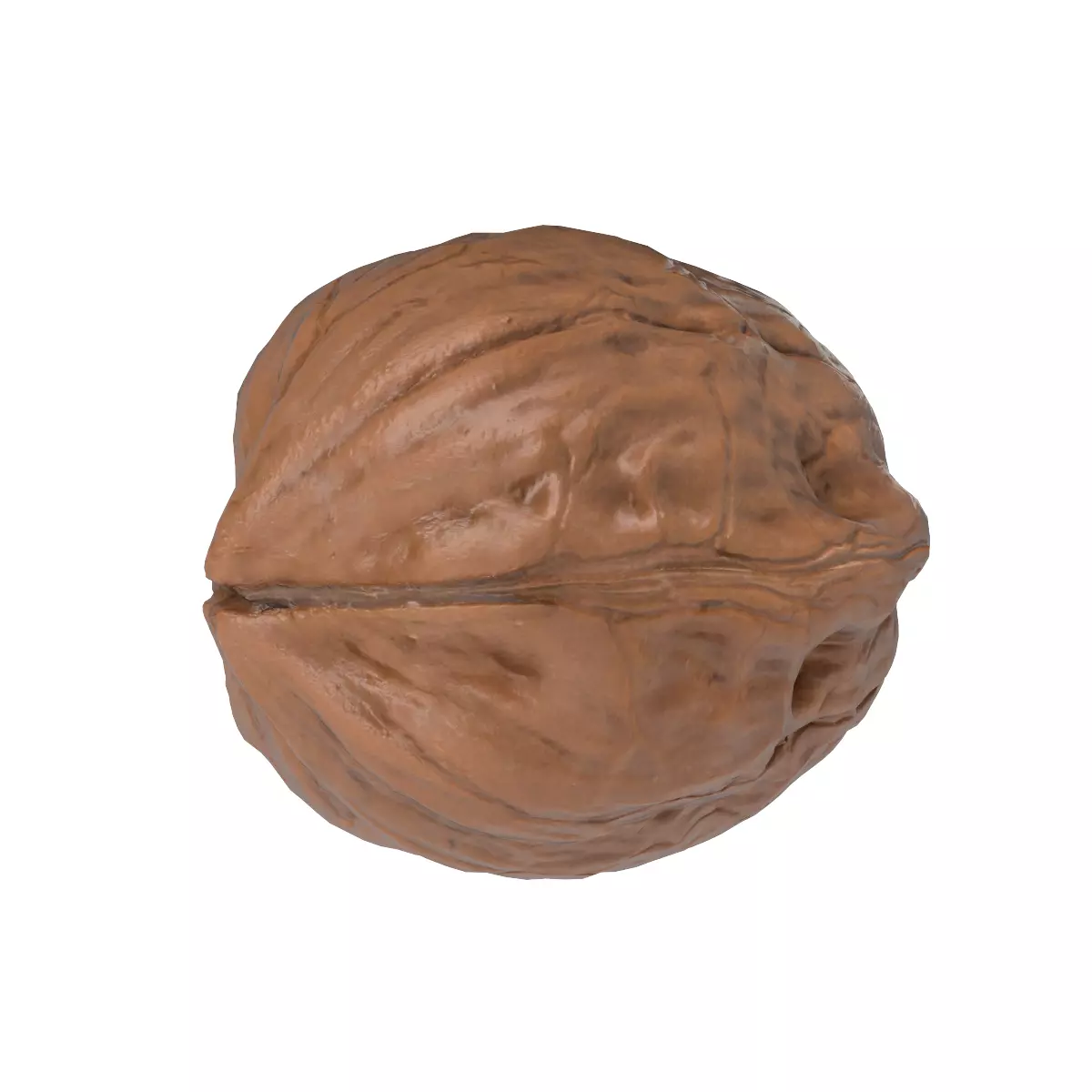 Walnut Low-poly 3D model_0