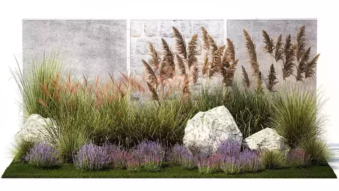 Garden Flowers Lavender Pampas Grass Miscanthus 1397
