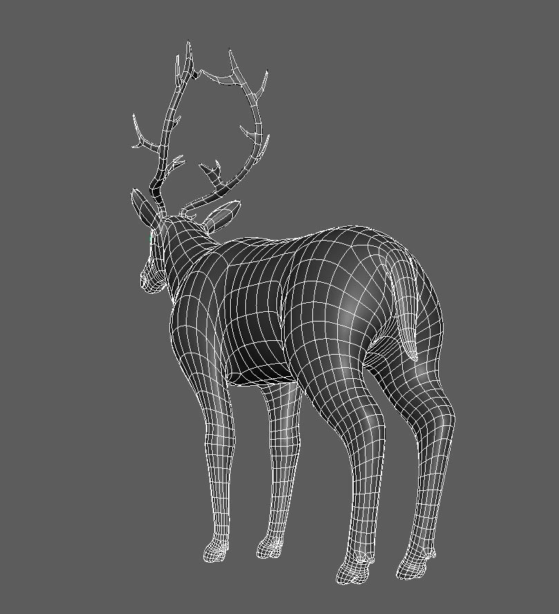 Deer Low Poly Animal Low-poly 3D model_5