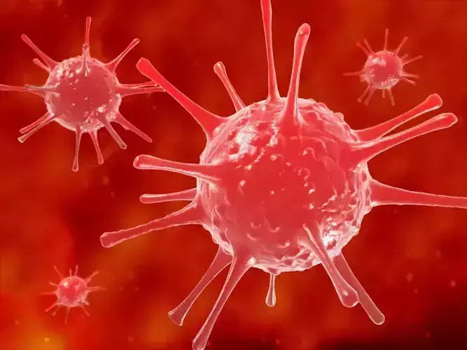 viruses bacteria science cells nerve cells neurons