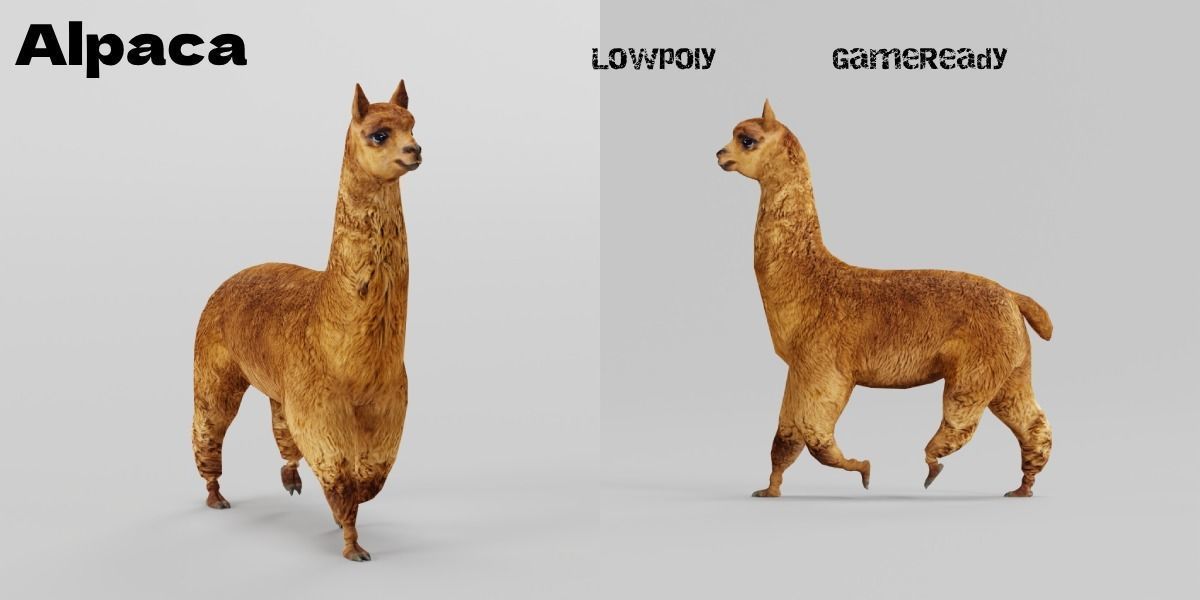 Alpaca Animal Low-poly 3D model_3