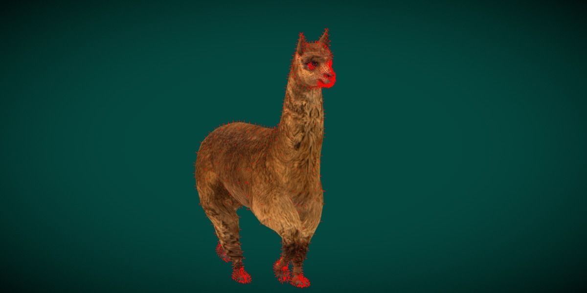 Alpaca Animal Low-poly 3D model_6