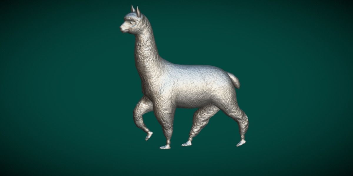 Alpaca Animal Low-poly 3D model_5