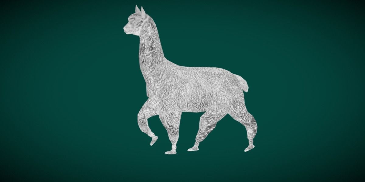 Alpaca Animal Low-poly 3D model_15