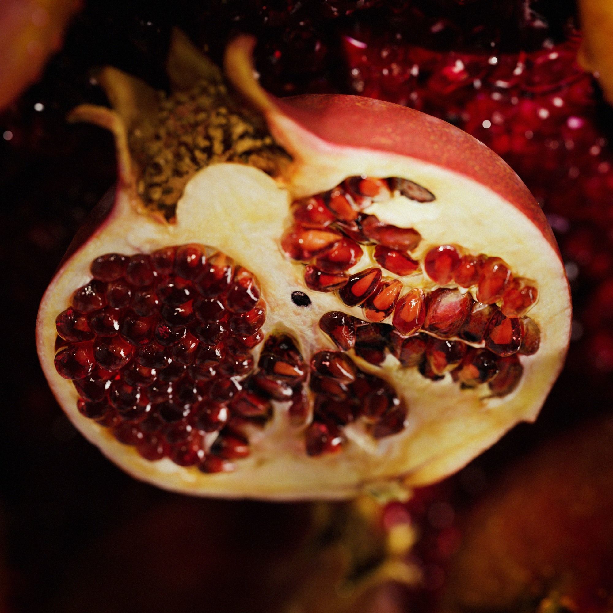 Pomegranate Low-poly 3D model_6