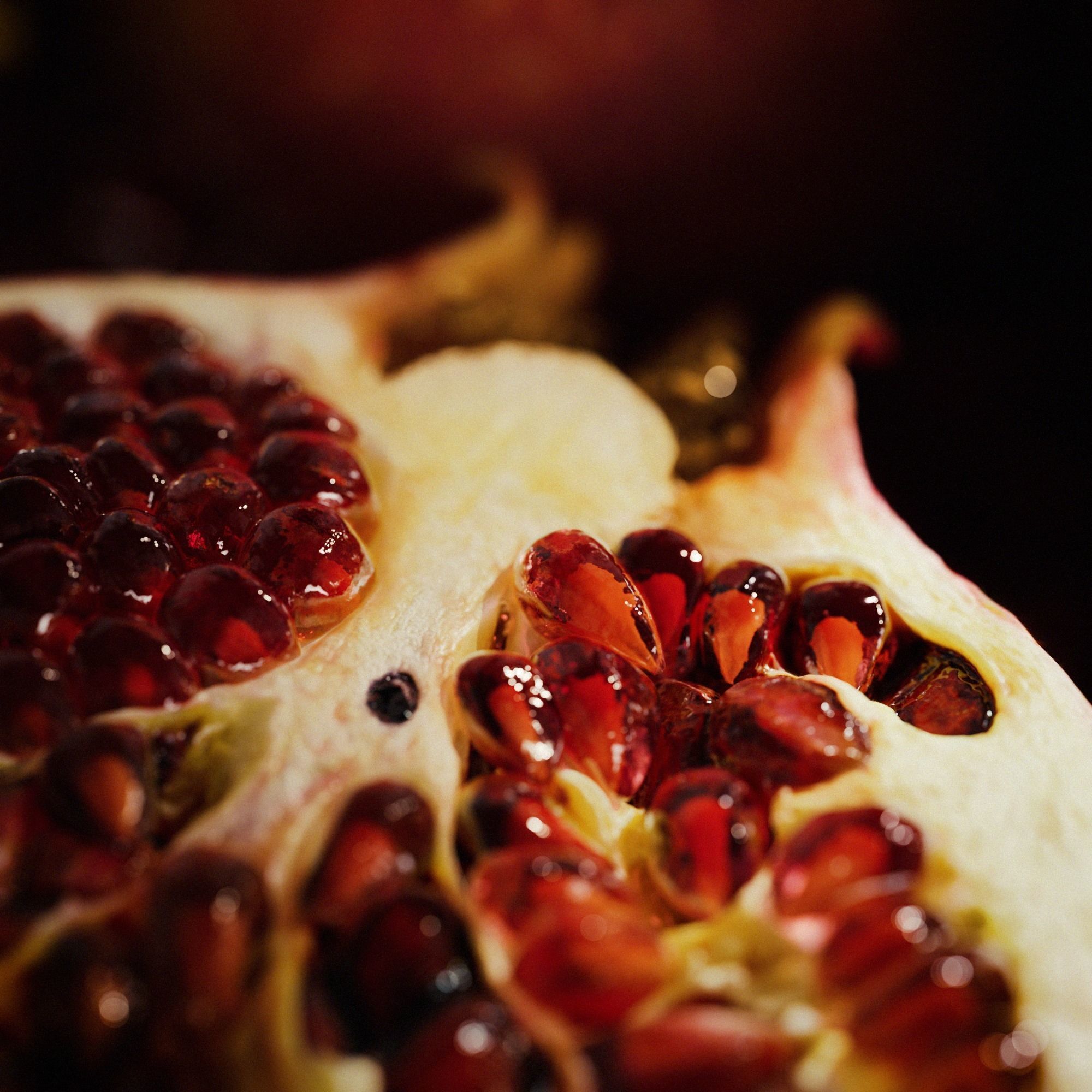 Pomegranate Low-poly 3D model_7