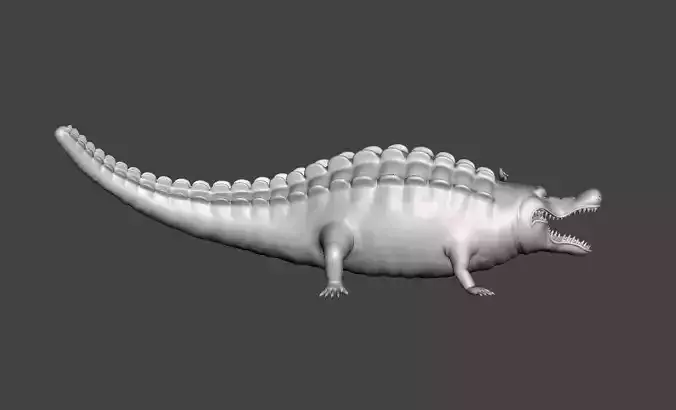 Bananawani 3D Model