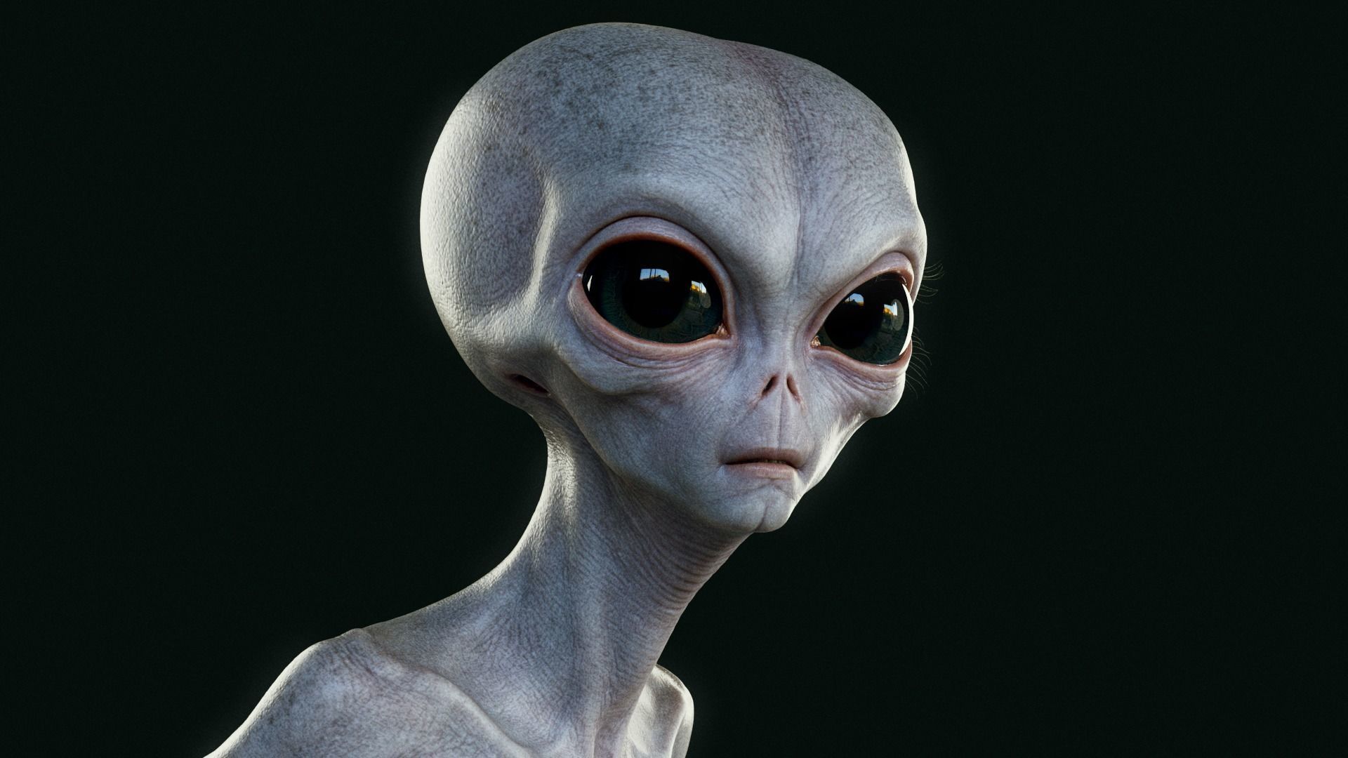 Humanoid Grey Alien - Rigged Low-poly 3D model_6