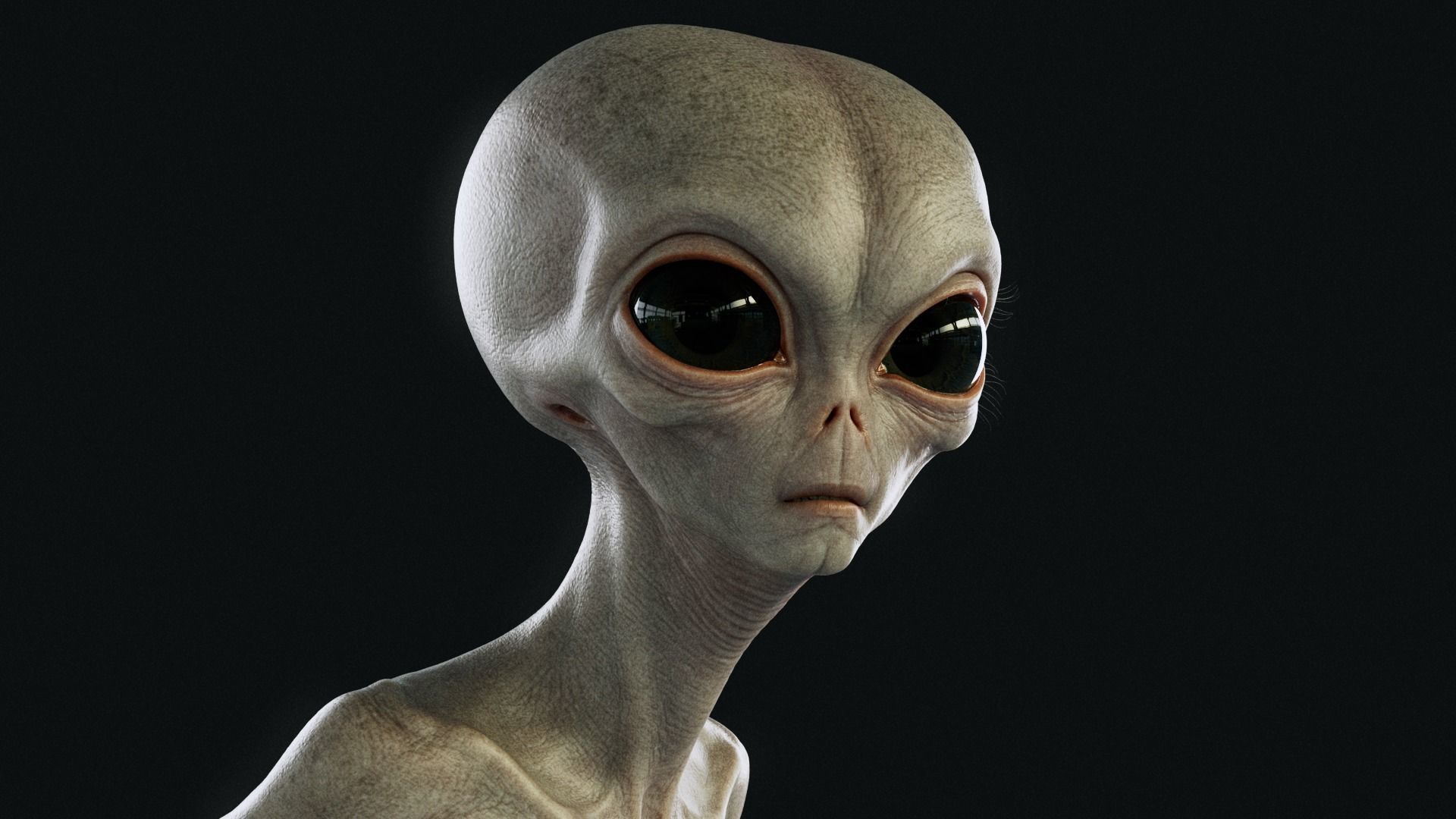 Humanoid Grey Alien - Rigged Low-poly 3D model_3