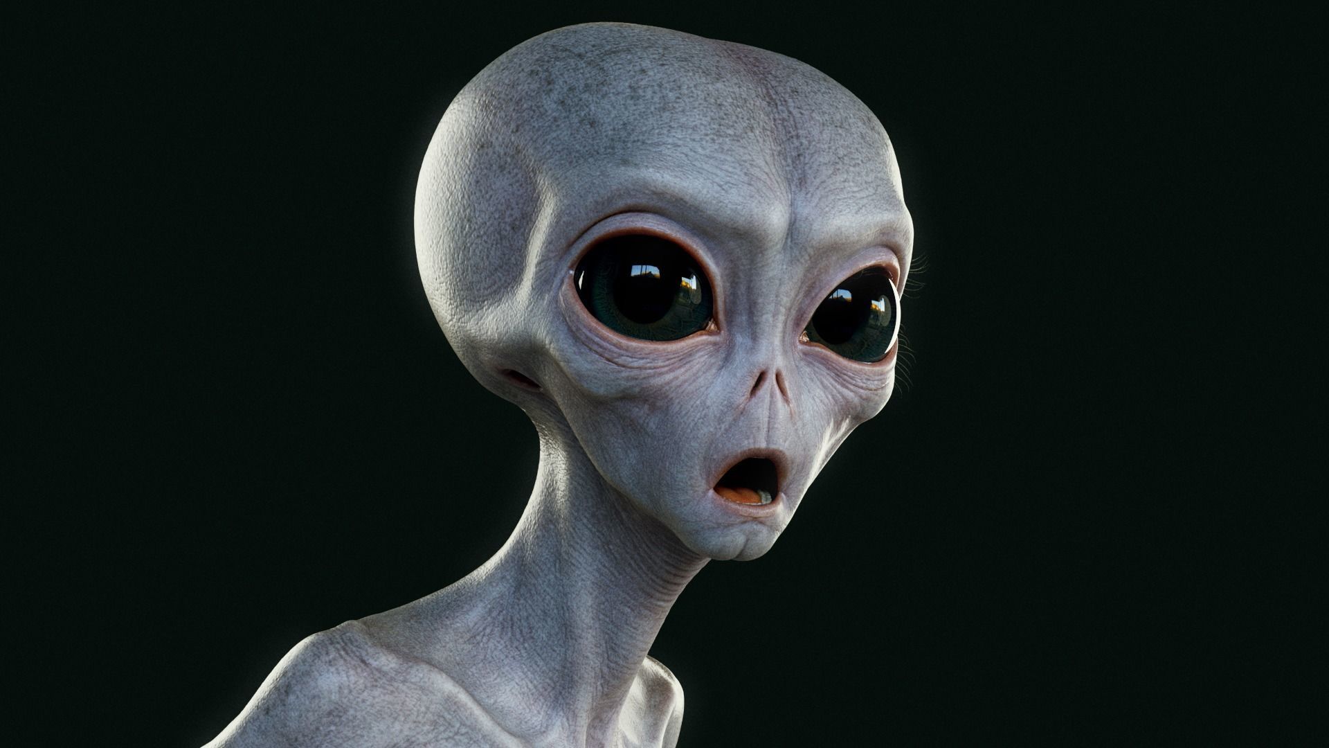 Humanoid Grey Alien - Rigged Low-poly 3D model_9