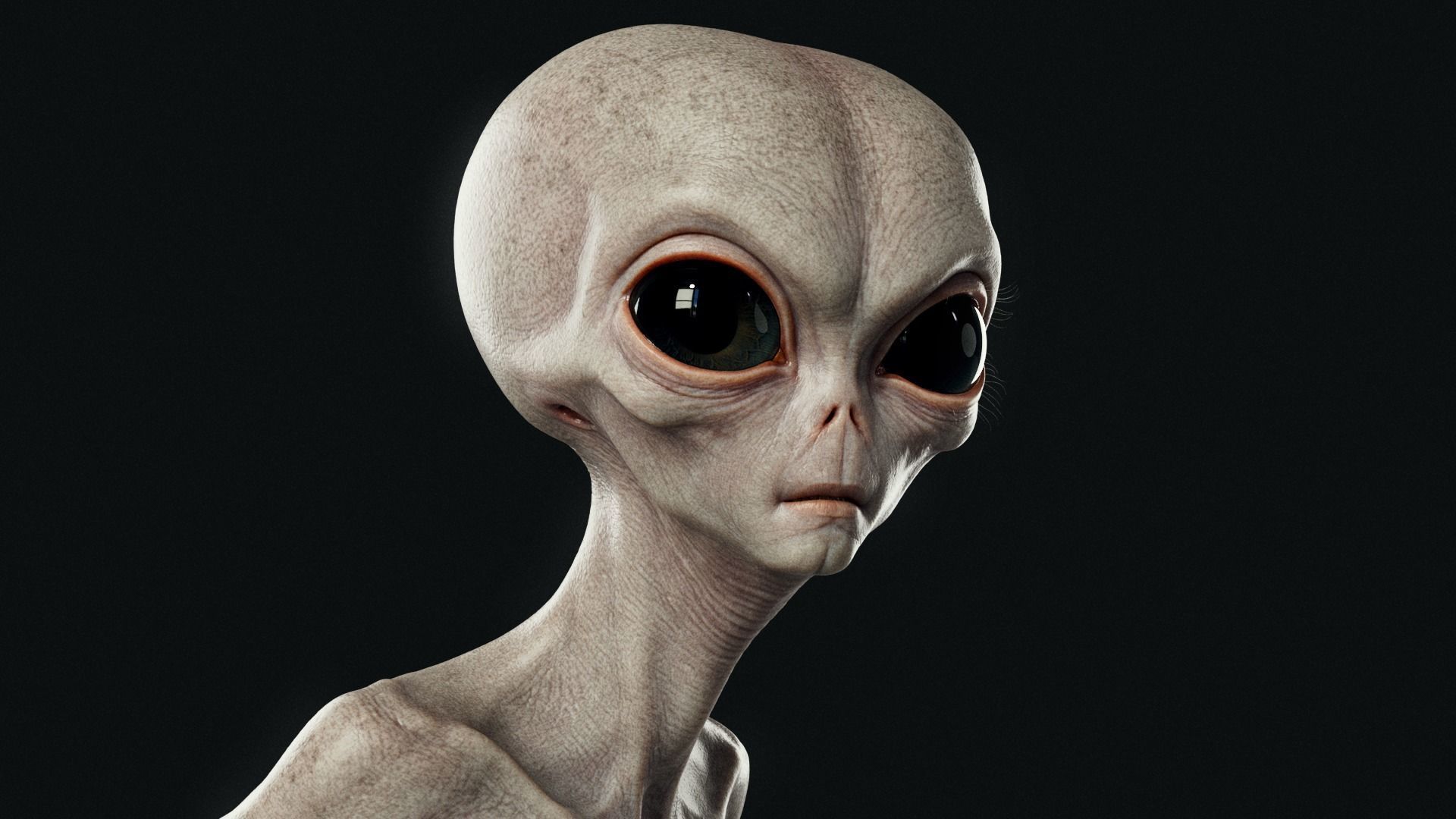 Humanoid Grey Alien - Rigged Low-poly 3D model_2