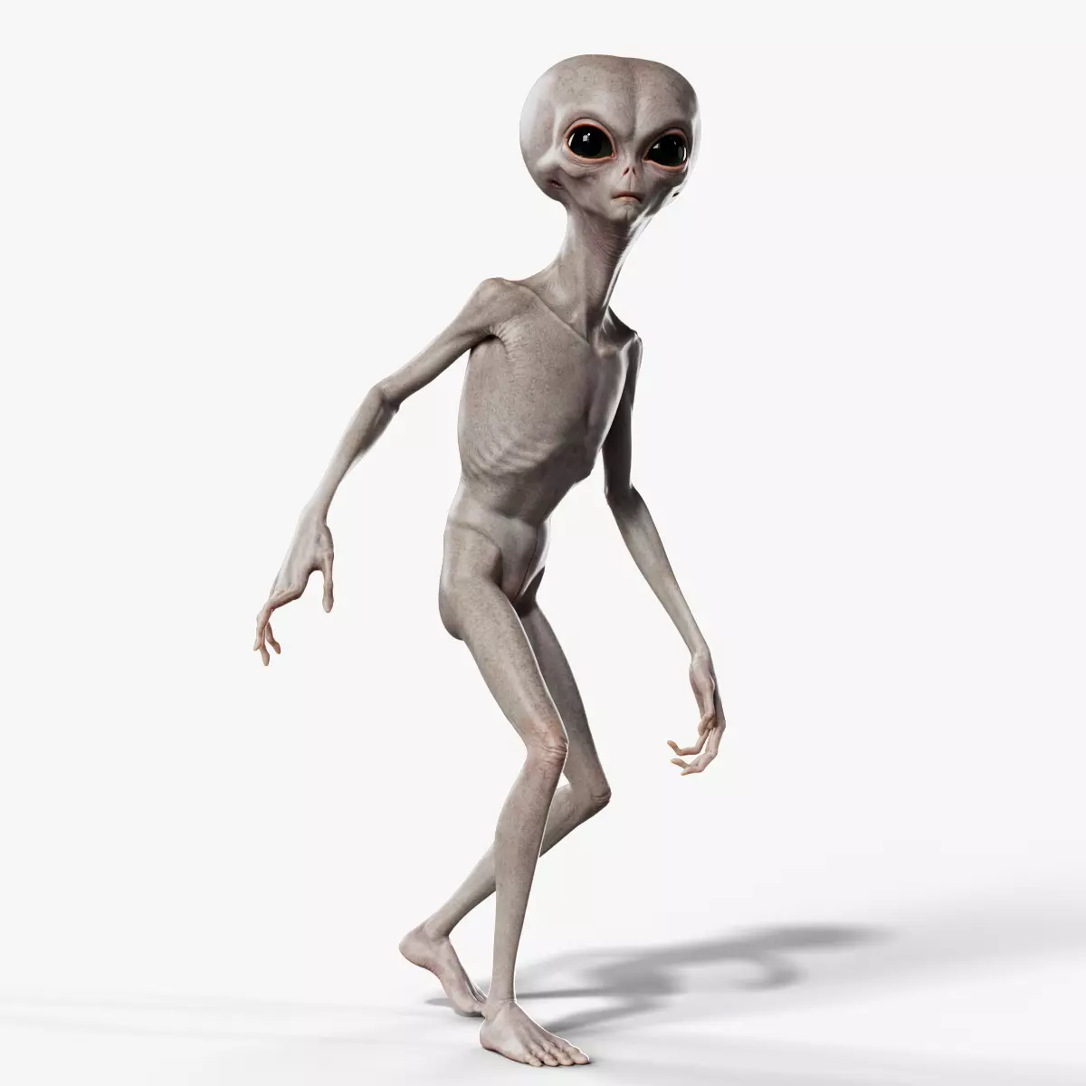 Humanoid Grey Alien - Rigged Low-poly 3D model_0