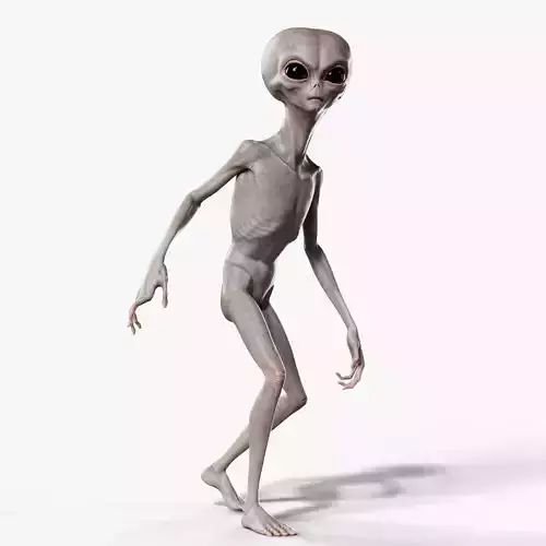 Humanoid Grey Alien - Rigged Low-poly 3D model