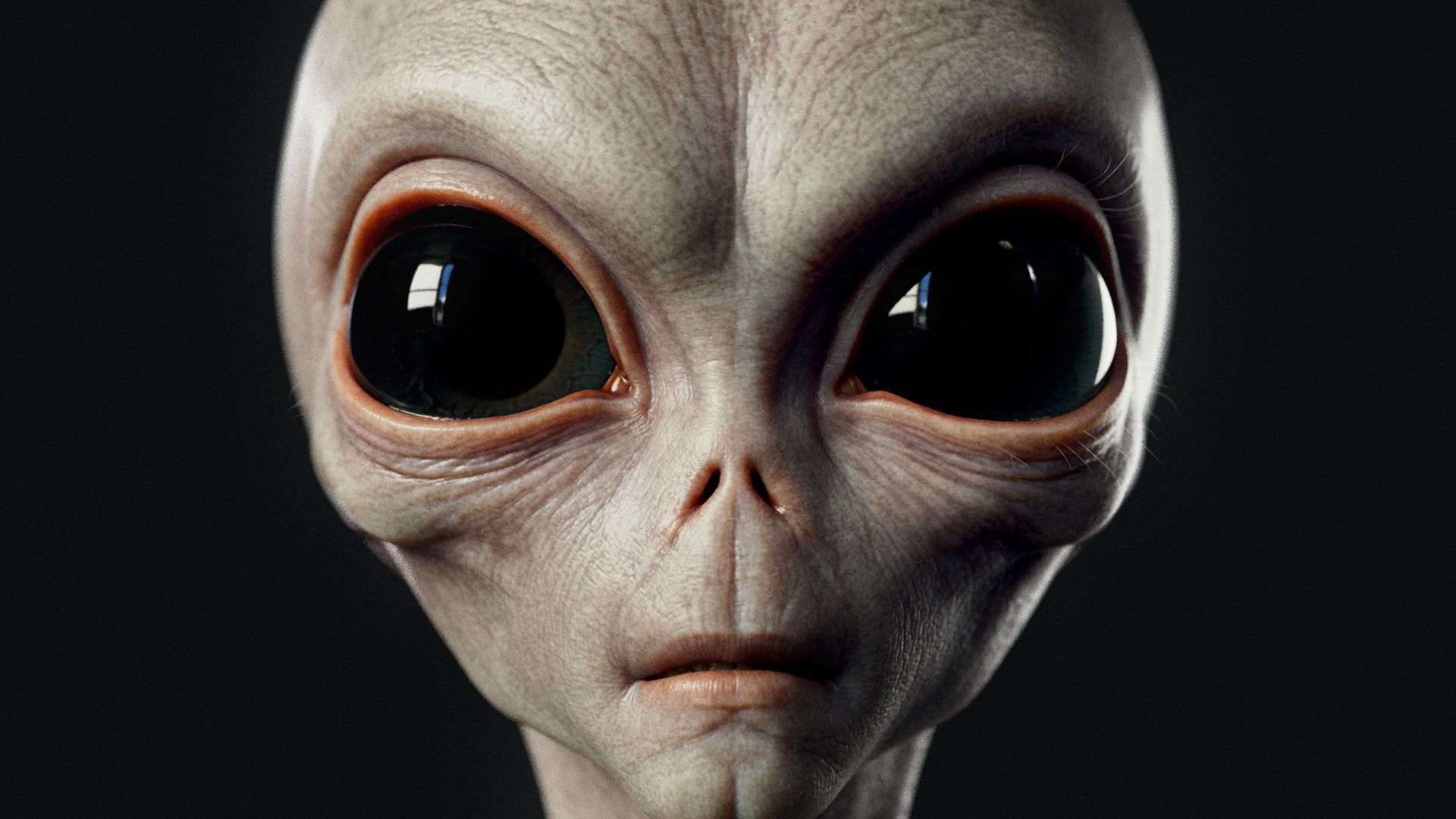 Humanoid Grey Alien - Rigged Low-poly 3D model_4