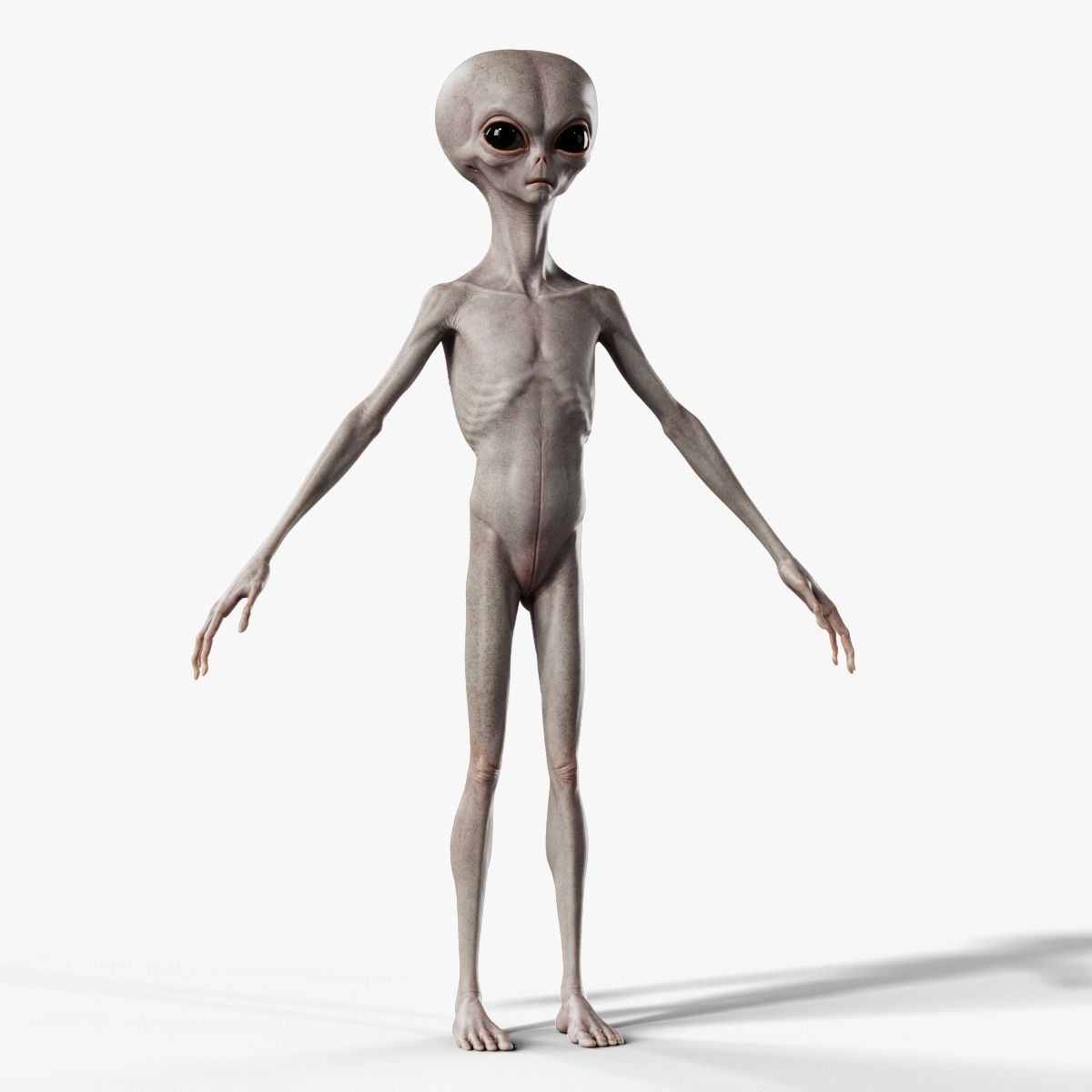 Humanoid Grey Alien - Rigged Low-poly 3D model_1