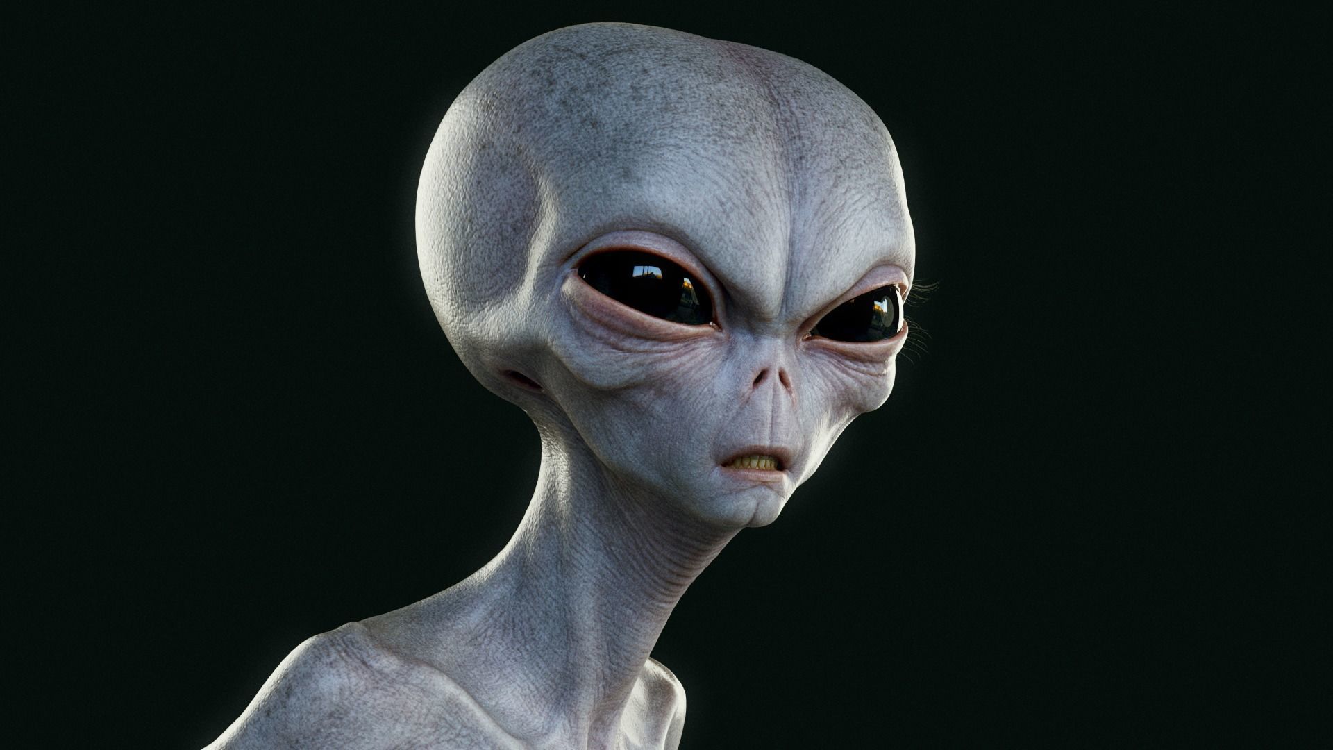 Humanoid Grey Alien - Rigged Low-poly 3D model_7